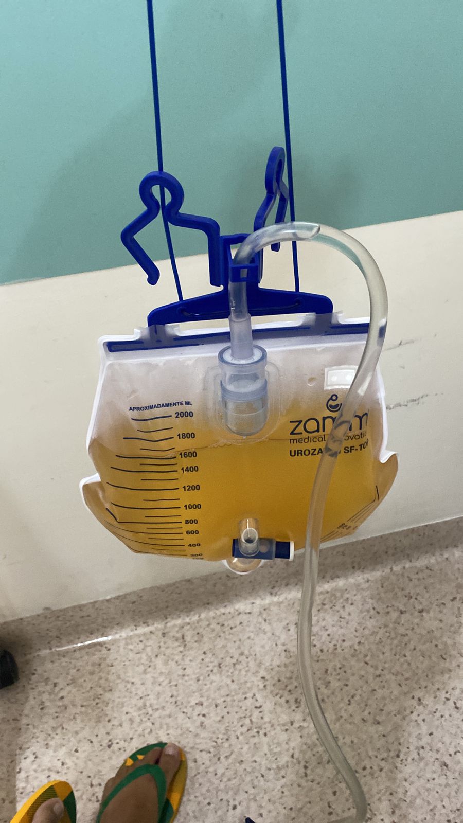 Registro real do transplante HRIM 3